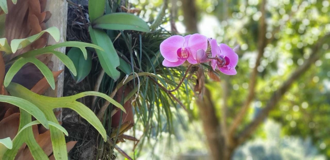 Recanto Luamar Pousada ซานา ภายนอก รูปภาพ